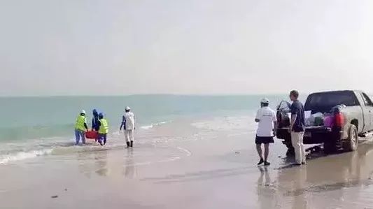 九游会·J9-官方网站|真人集团游戏品牌