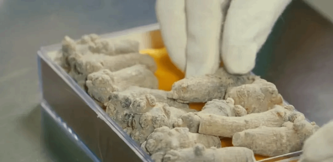 九游会·J9-官方网站|真人集团游戏品牌