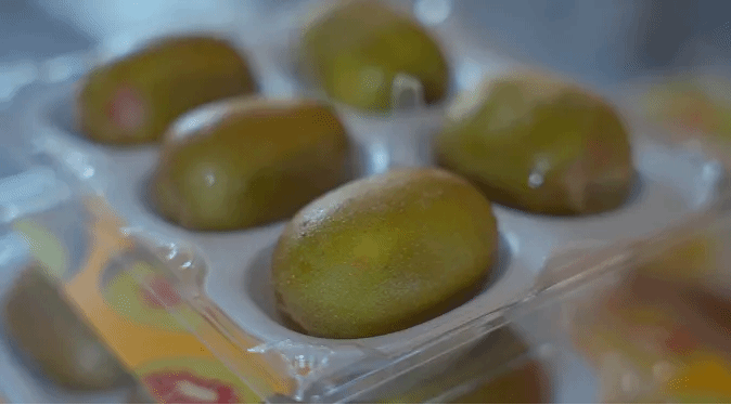 九游会·J9-官方网站|真人集团游戏品牌