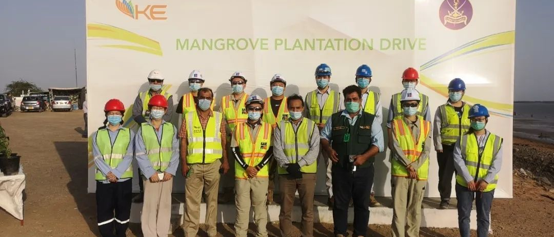 九游会·J9-官方网站|真人集团游戏品牌