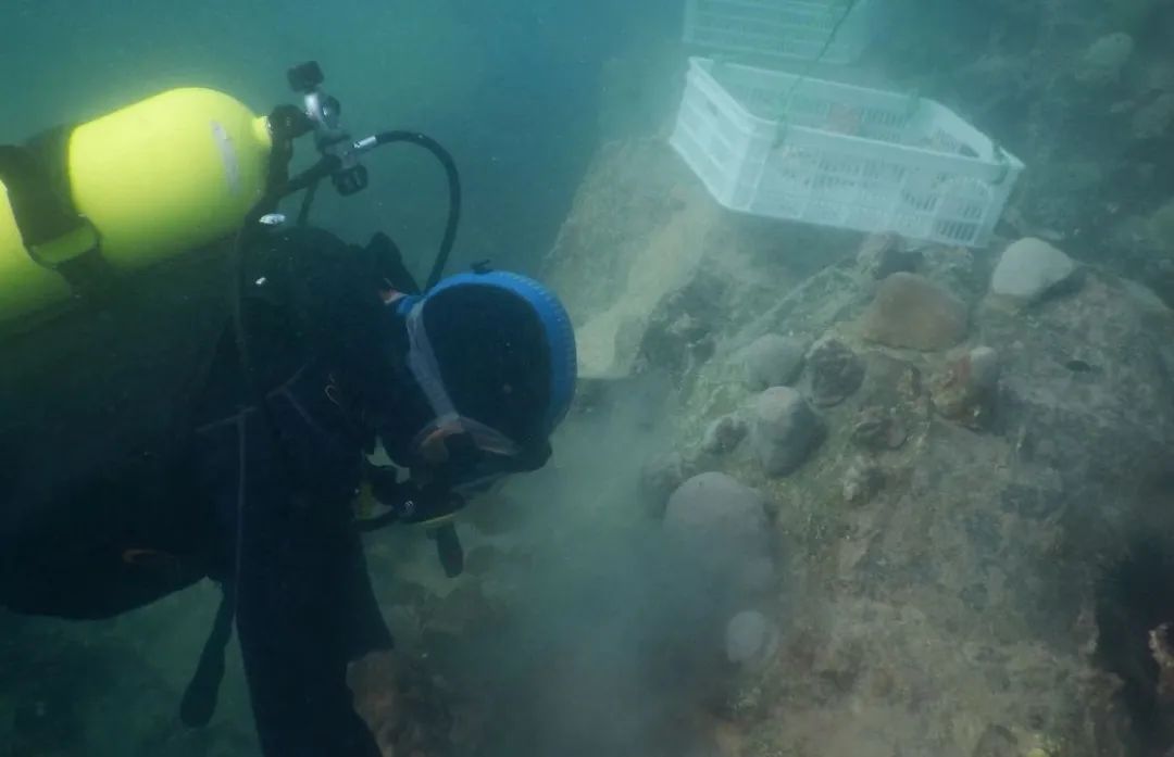 九游会·J9-官方网站|真人集团游戏品牌