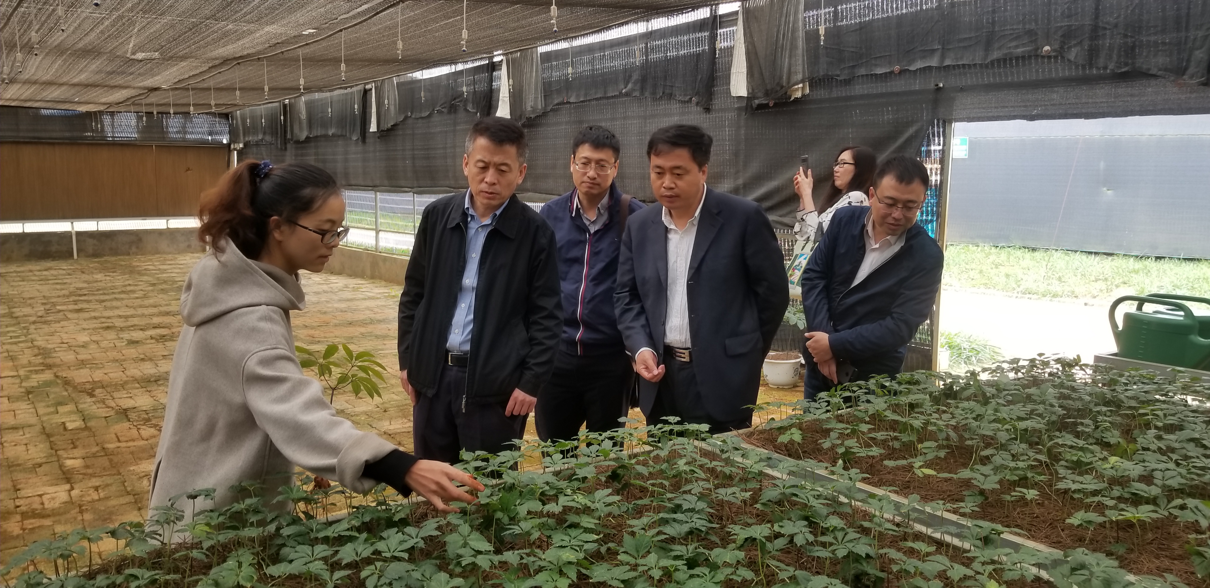 九游会·J9-官方网站|真人集团游戏品牌