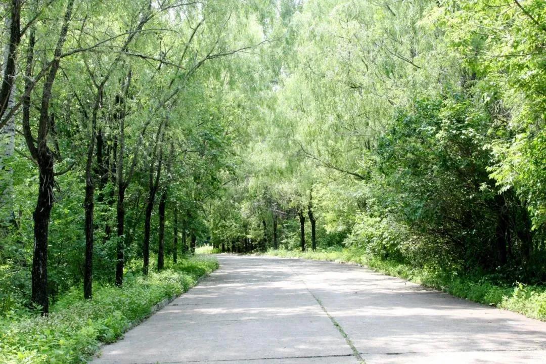 九游会·J9-官方网站|真人集团游戏品牌