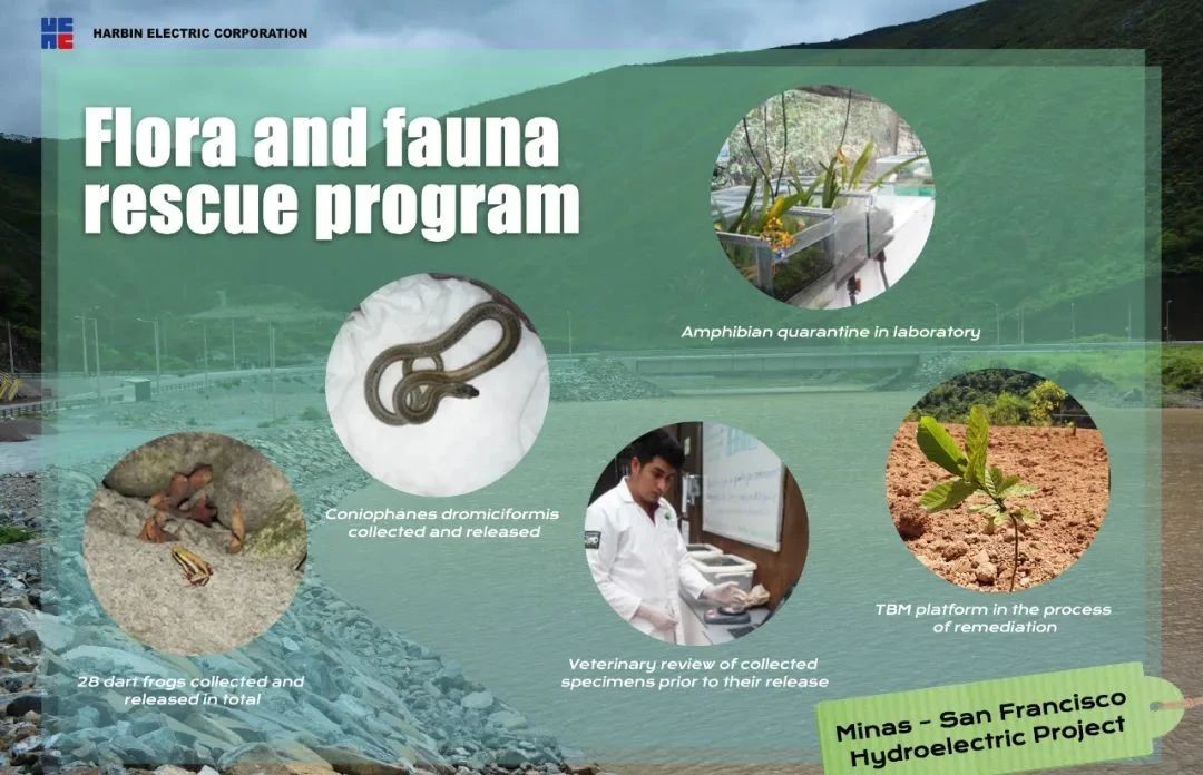 九游会·J9-官方网站|真人集团游戏品牌