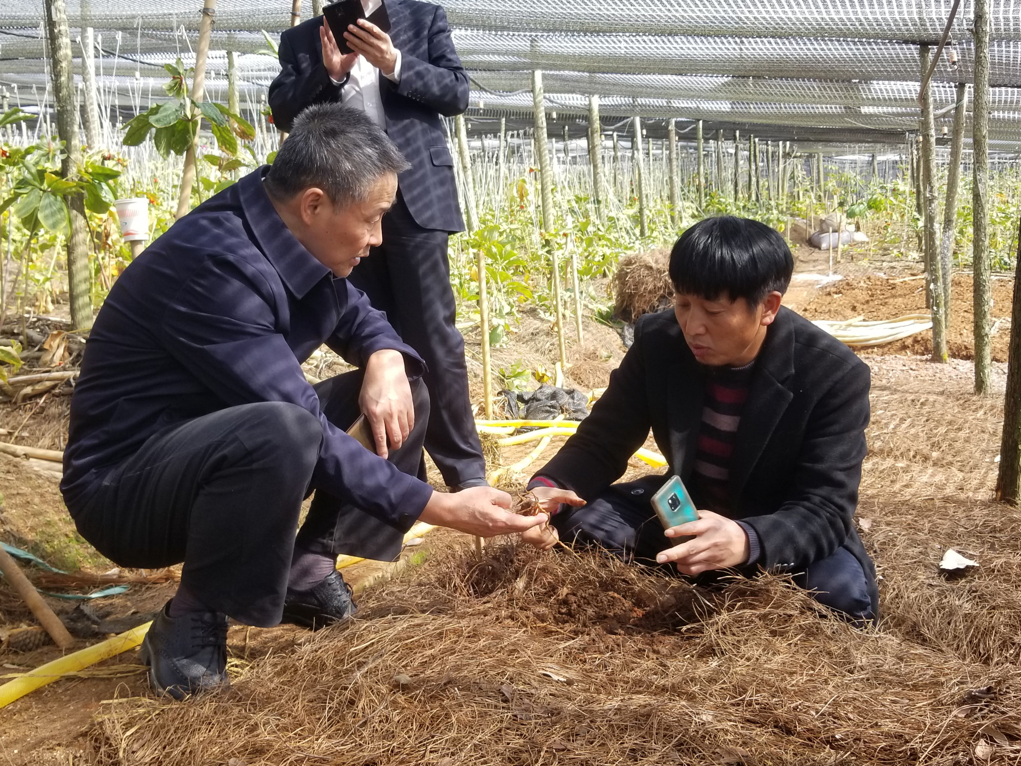 九游会·J9-官方网站|真人集团游戏品牌