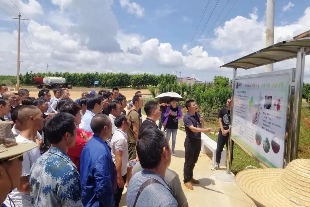 九游会·J9-官方网站|真人集团游戏品牌