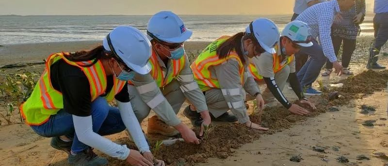 九游会·J9-官方网站|真人集团游戏品牌