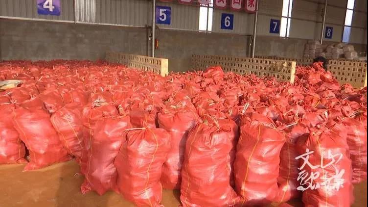 九游会·J9-官方网站|真人集团游戏品牌