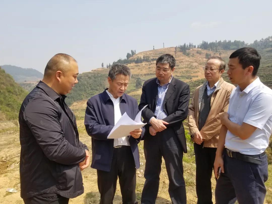 九游会·J9-官方网站|真人集团游戏品牌