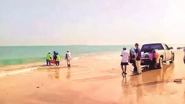 九游会·J9-官方网站|真人集团游戏品牌