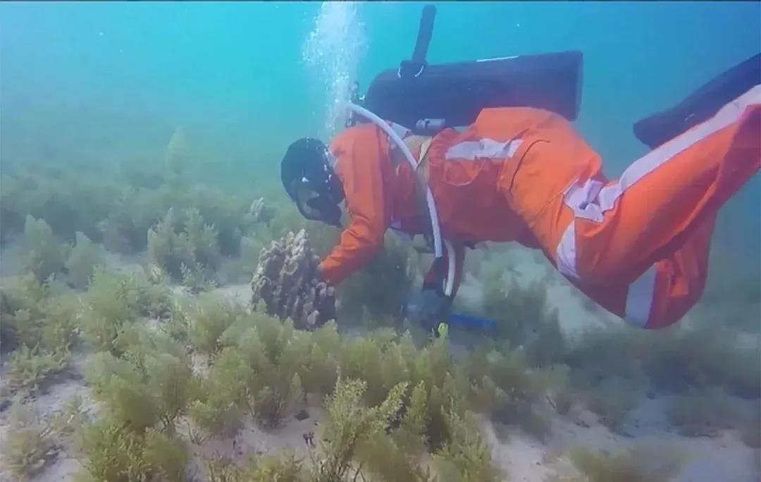 九游会·J9-官方网站|真人集团游戏品牌